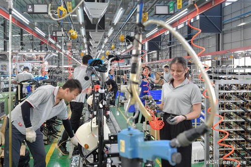 灣區(qū)媒體貴港行 走訪華南最大內(nèi)河港口,探秘電動(dòng)車智能工廠